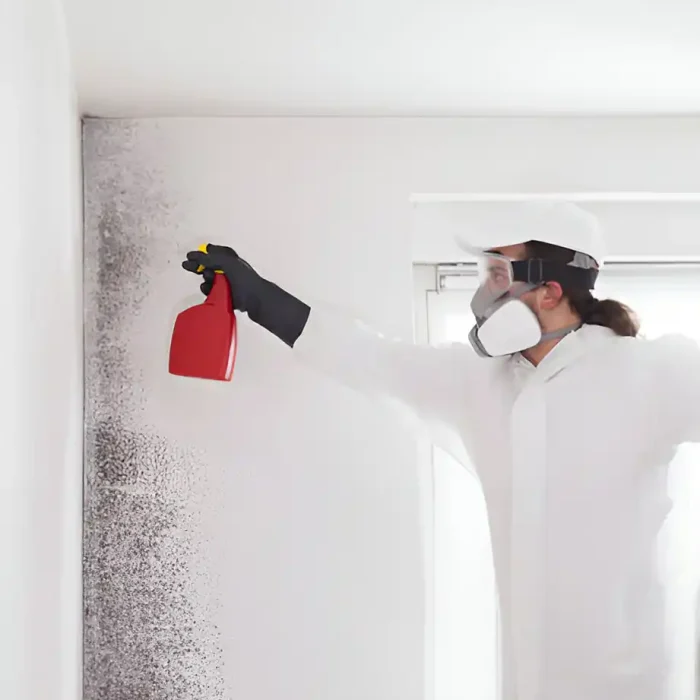 Eine Person in Schutzkleidung behandelt mit einer roten Sprühflasche Schimmel an einer Wand