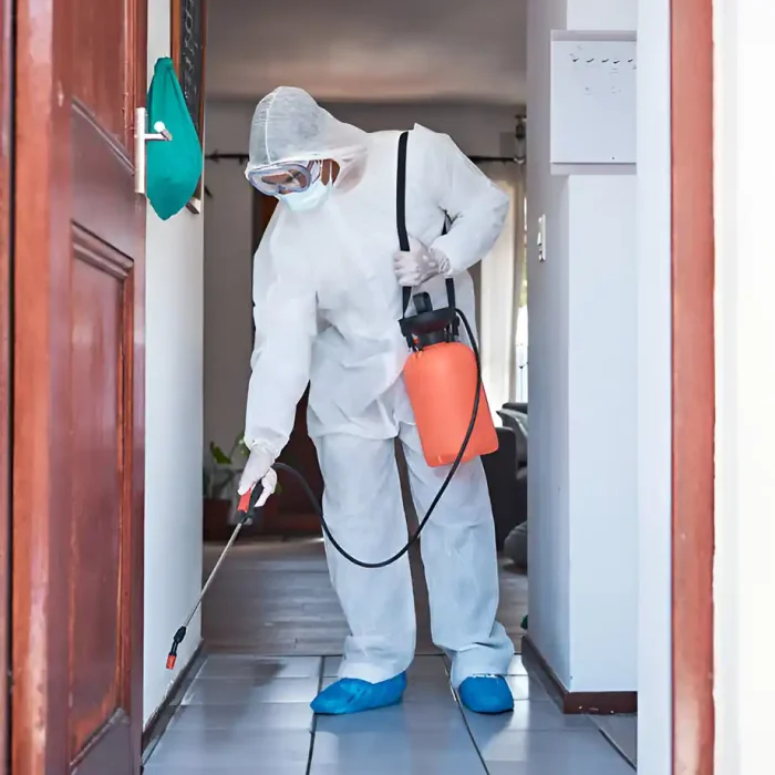 Person in Schutzkleidung sprüht Desinfektionsmittel in einem Flur