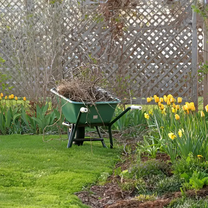 Schubkarre mit Ästen und Zweigen neben blühenden Tulpen
