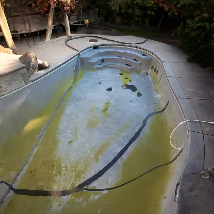 Grüner, stagnierender Pool