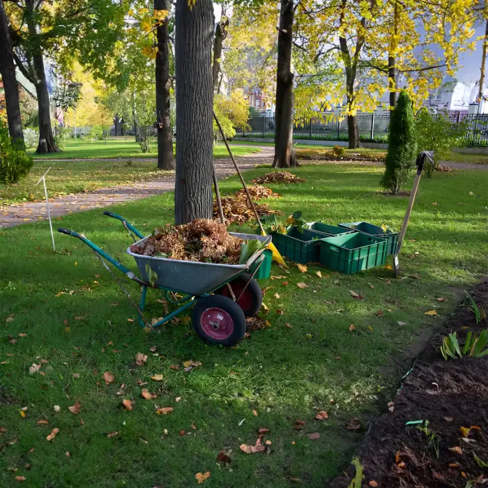 Schubkarre und Körbe gefüllt mit Laub in einem Park