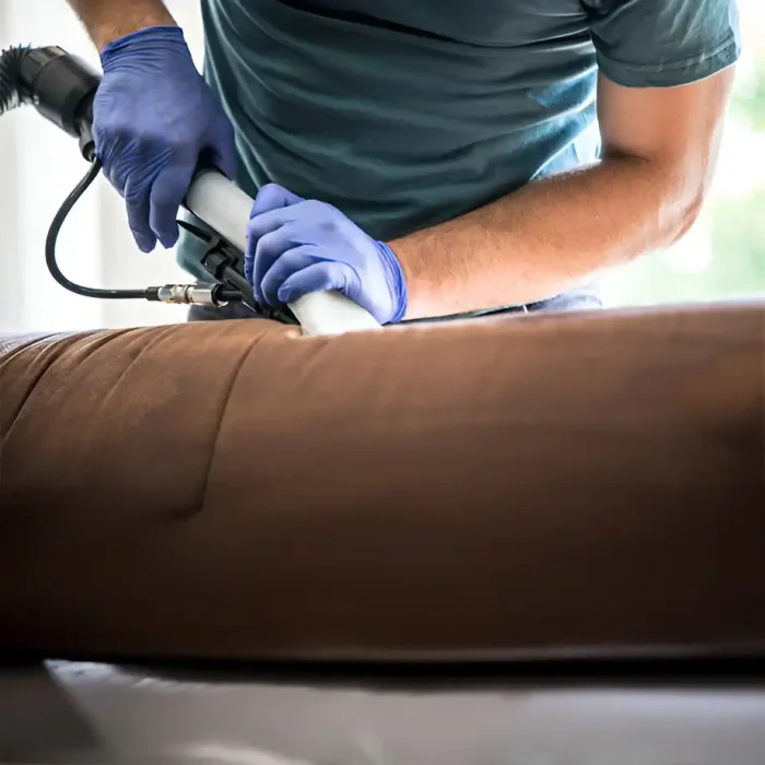Person mit lila Handschuhen, die ein braunes Sofa gründlich reinigt