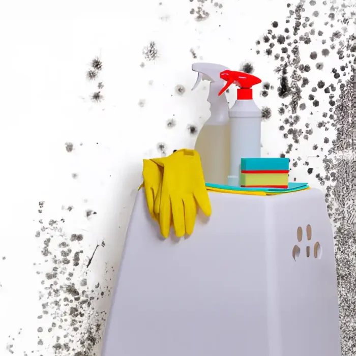 Reinigungsmittel für die Schimmelsanierung