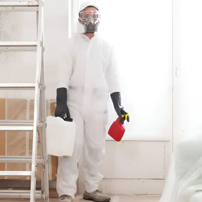 Schimmelbildung in der Ecke eines weißen Zimmers in der Nähe eines Fensters